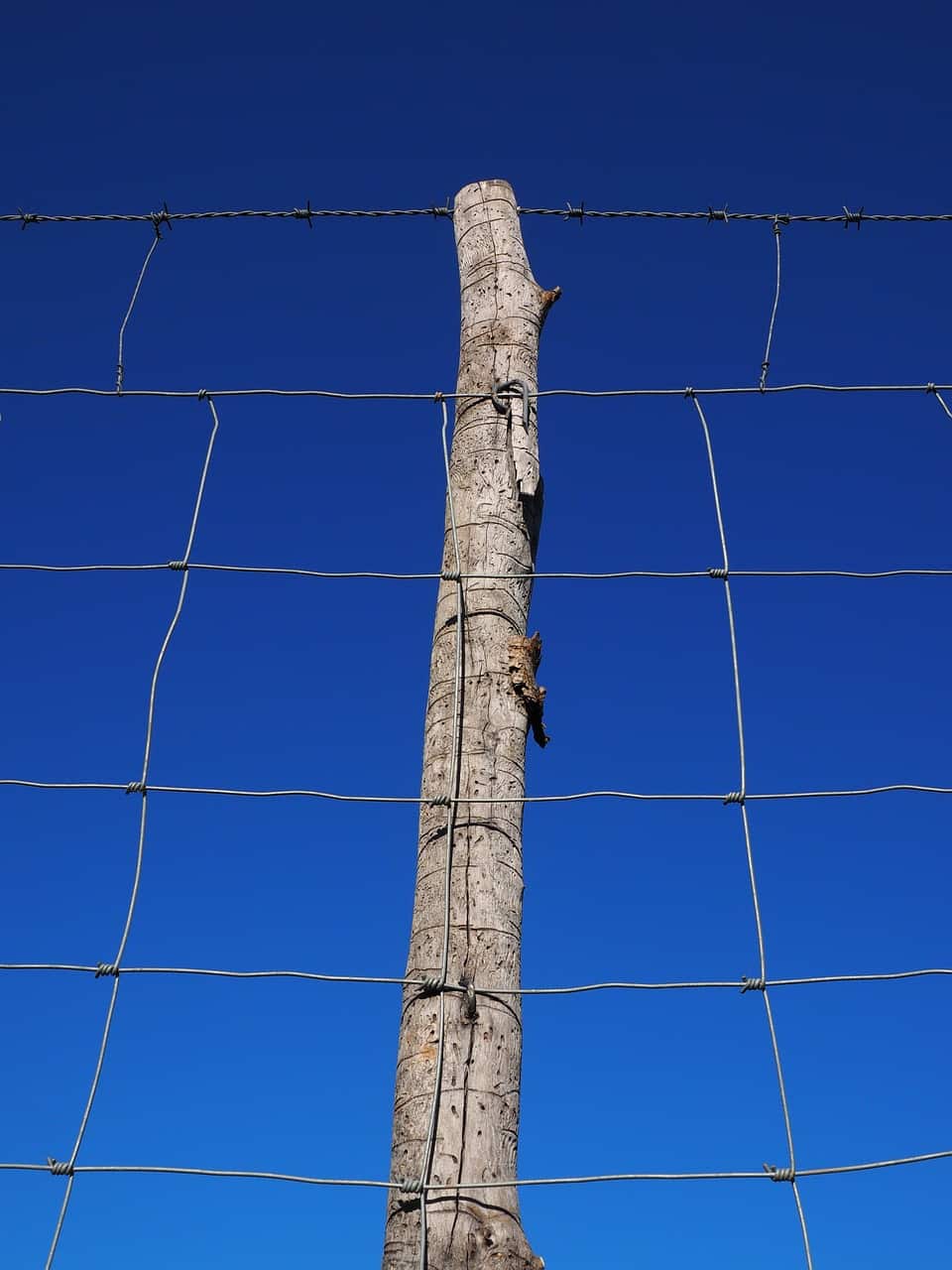 Overlap fence with timber posts Overlap-fence-timber-posts-medway-kent